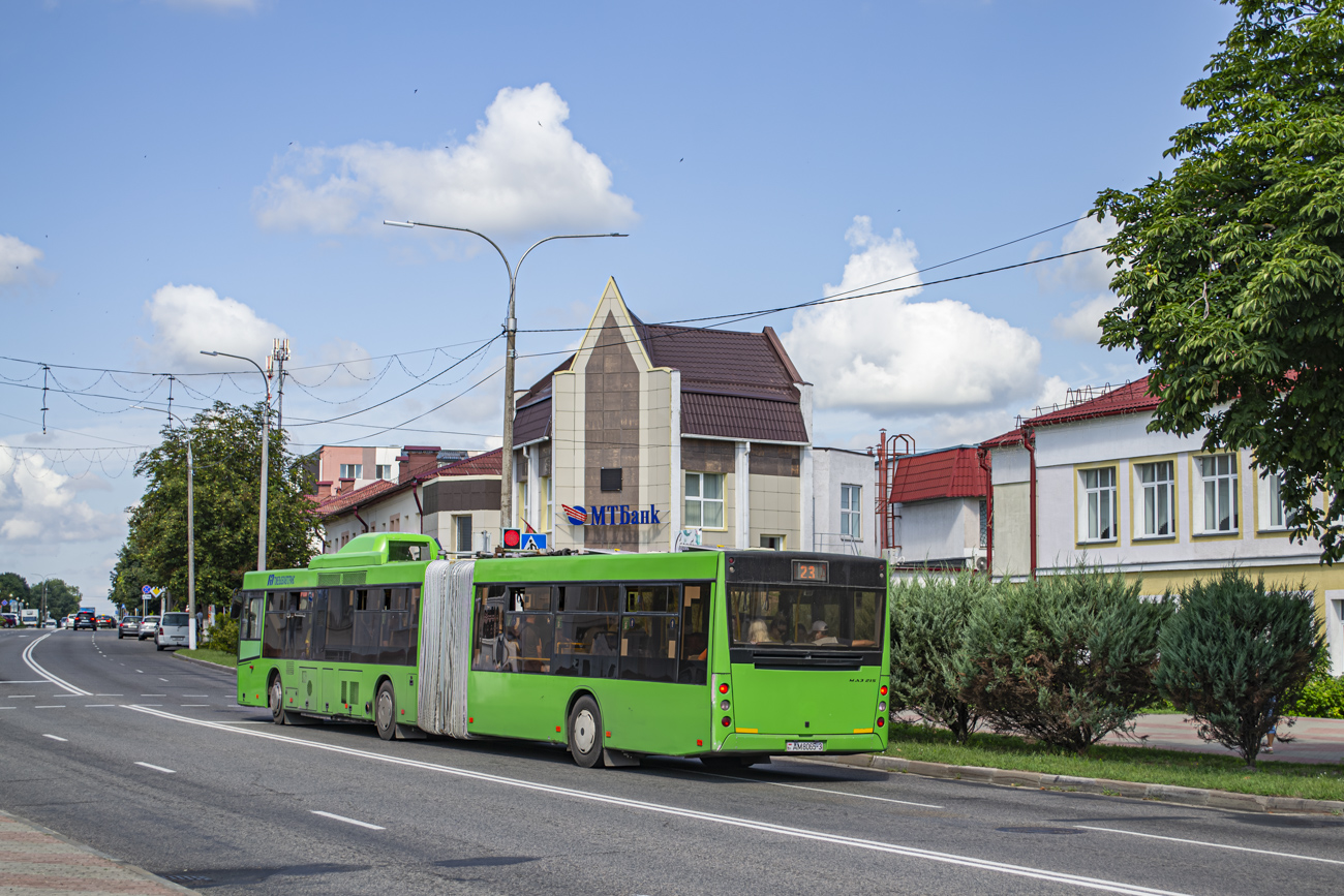 Zhlobin, MAZ-215.069 # 20419
