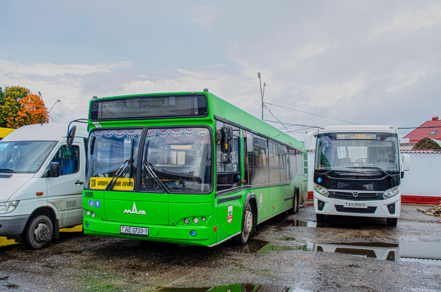 Baranavichy, MAZ-103.465 # 11680; Klieck, PAZ-320405-04 "Vector Next" # АХ 2650-5