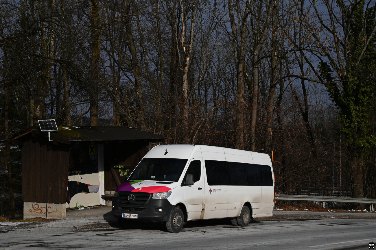 Salzburg-Umgebung, Mercedes-Benz Sprinter Transfer 45 # 102