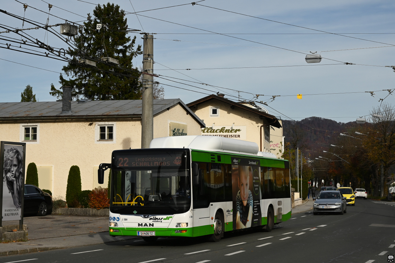 Salzburg, MAN A21 Lion's City NL313 CNG # L1584