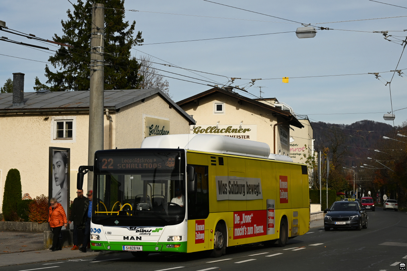 Salzburg, MAN A21 Lion's City NL313 CNG # L1563
