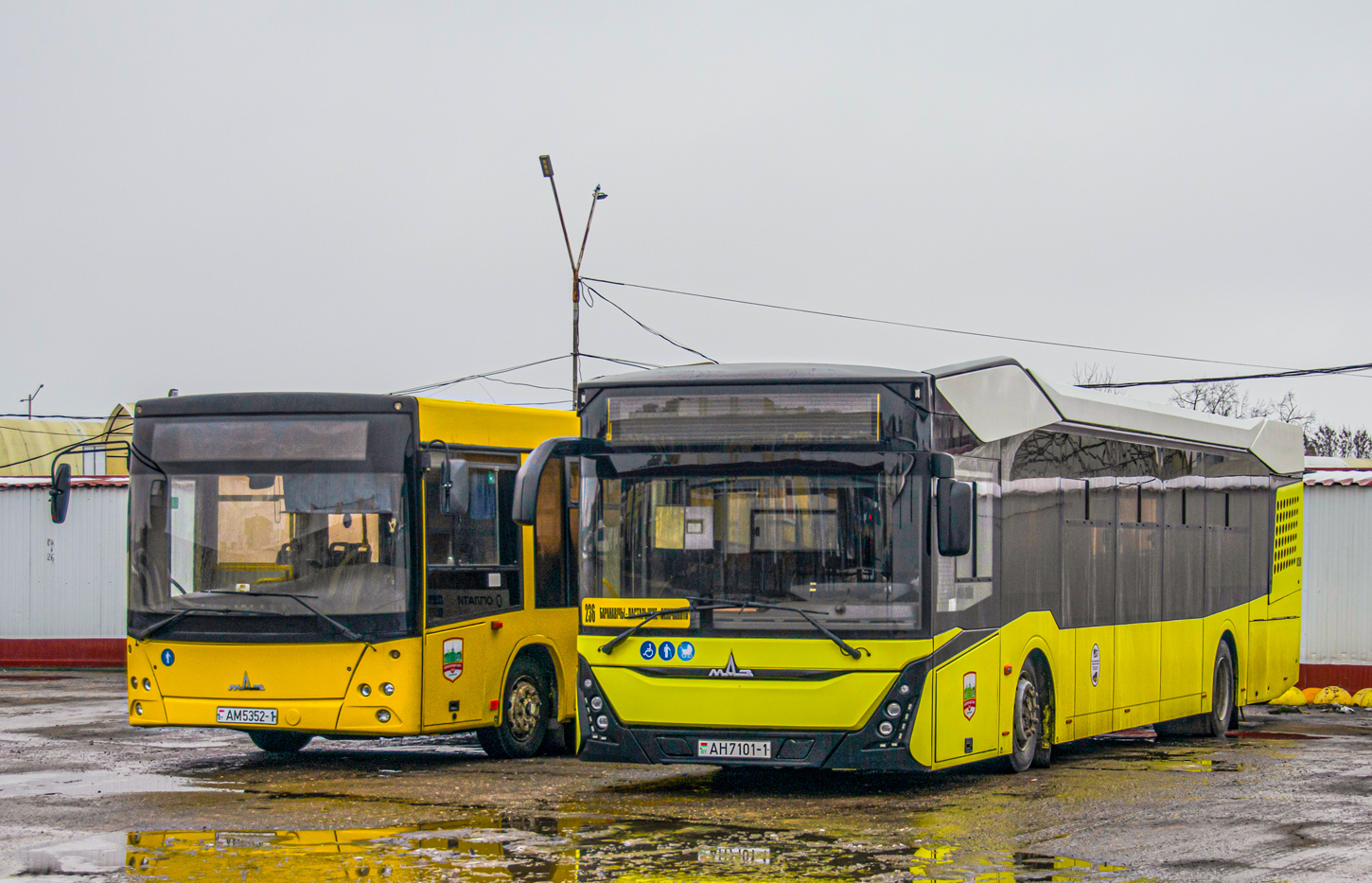 Baranavichy, MAZ-303.065 # 10250