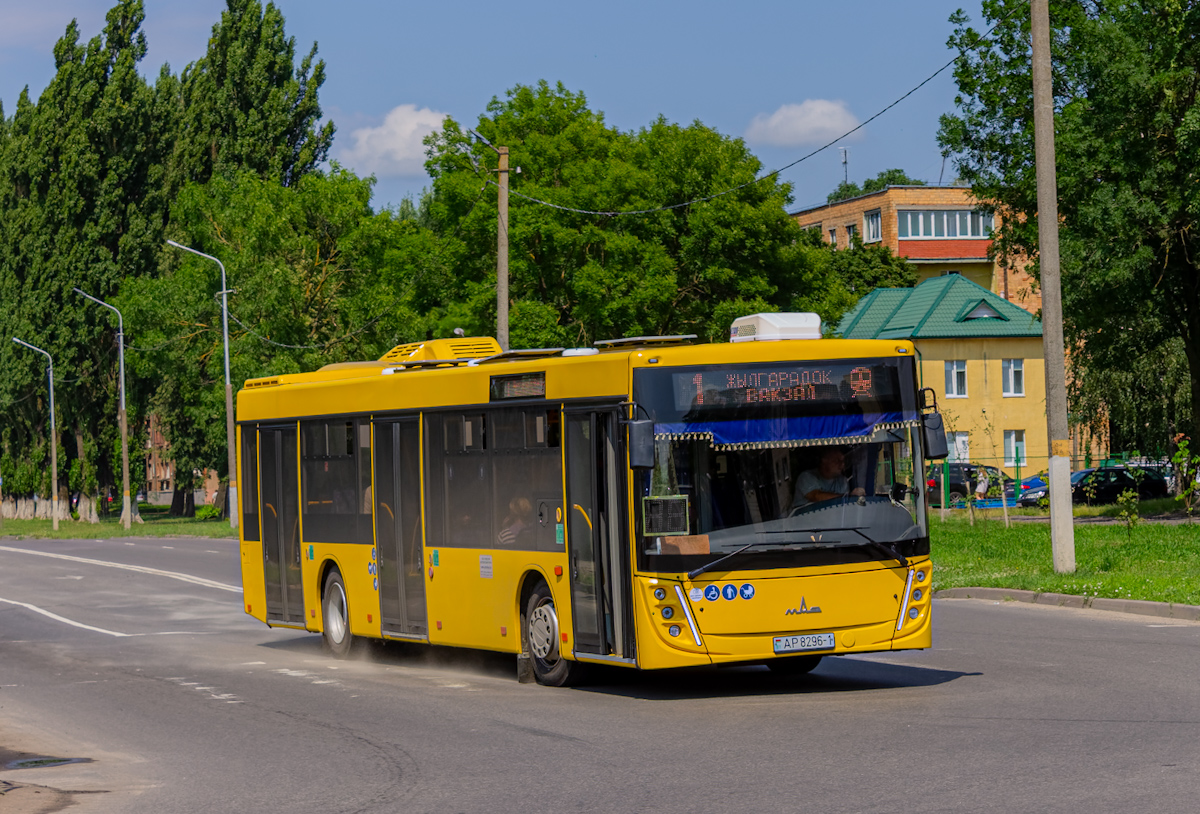 Pinsk, MAZ-203.047 # 41918
