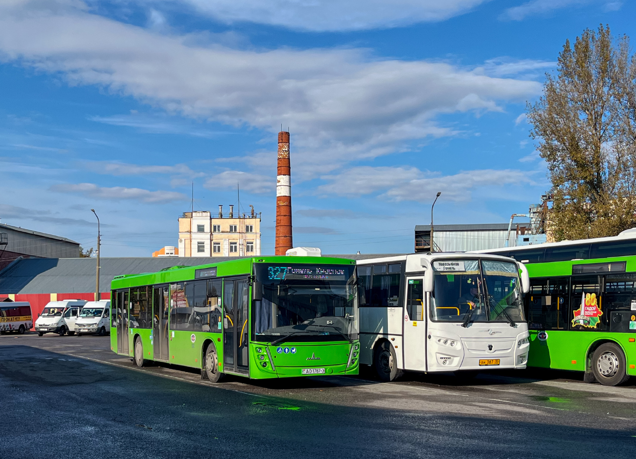 Gomiel, MAZ-203.047 # 037354