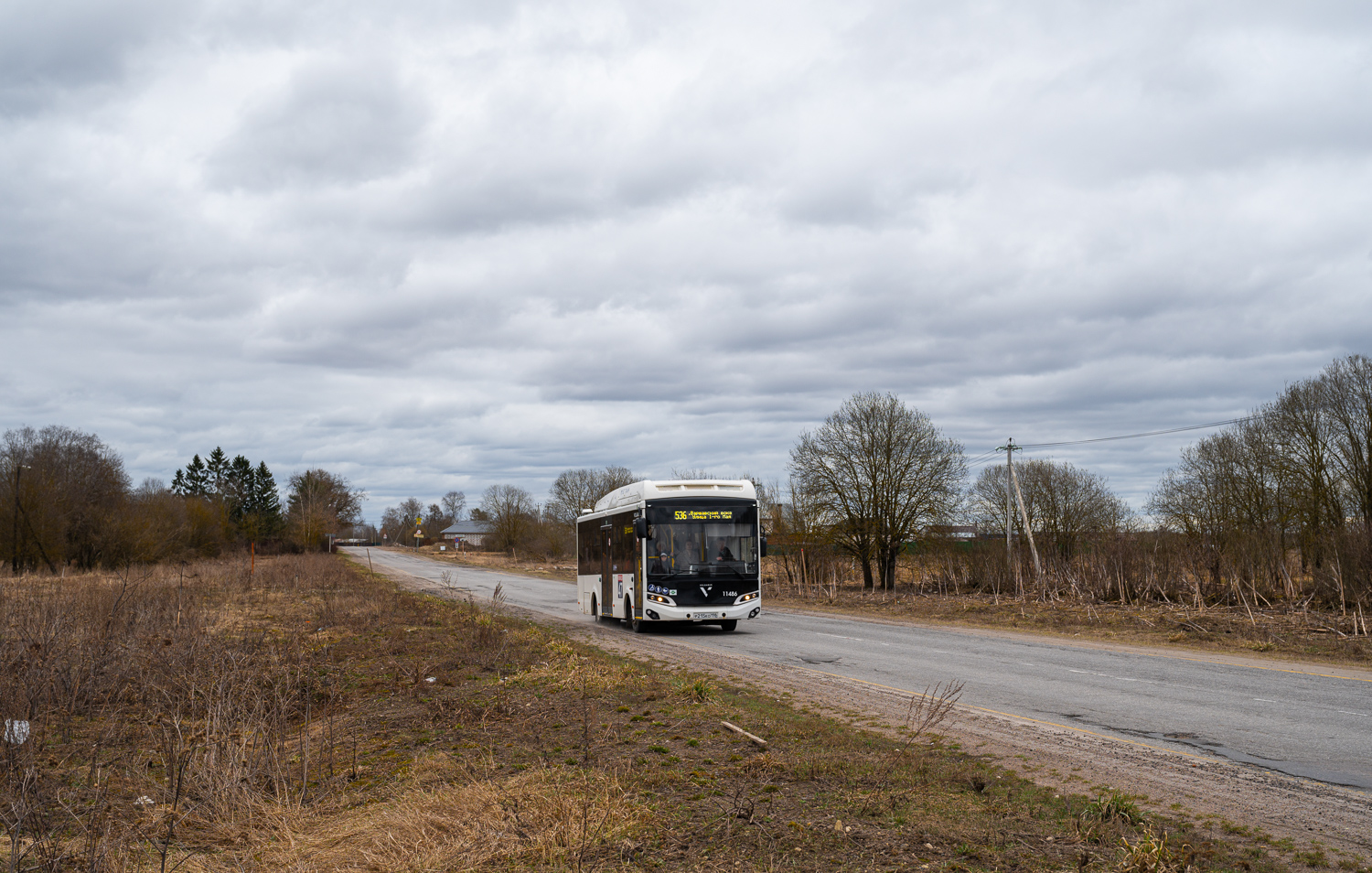 Gatchina, Volgabus-4298.G4 (CNG) # 11486
