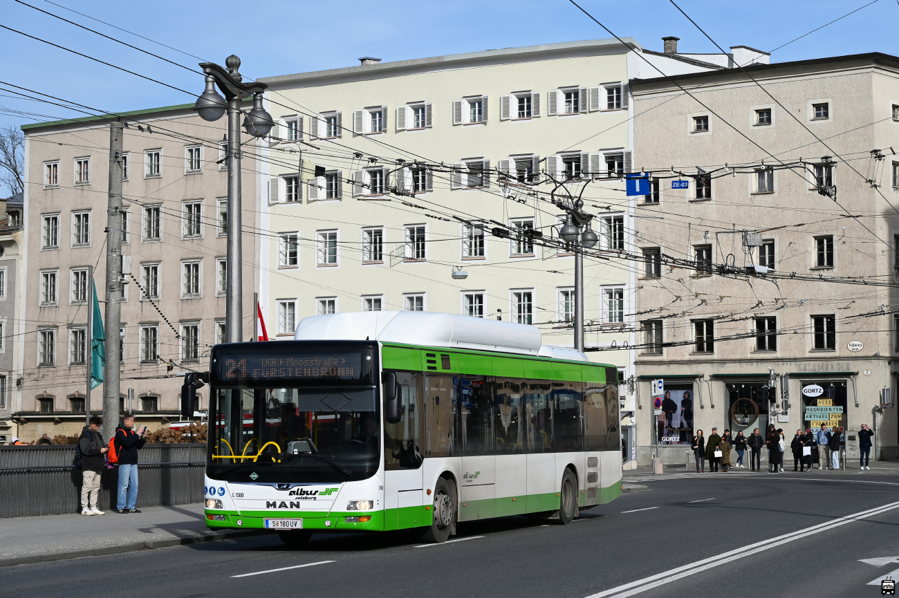 Salzburg, MAN A21 Lion's City NL313 CNG No. L1560