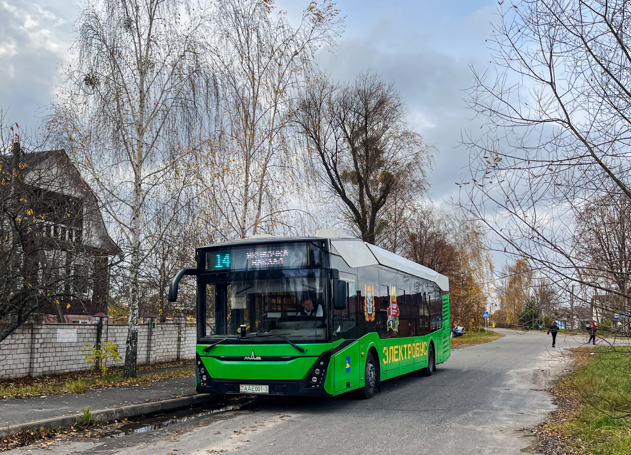 Gomiel, MAZ-303.E10 No. 26451