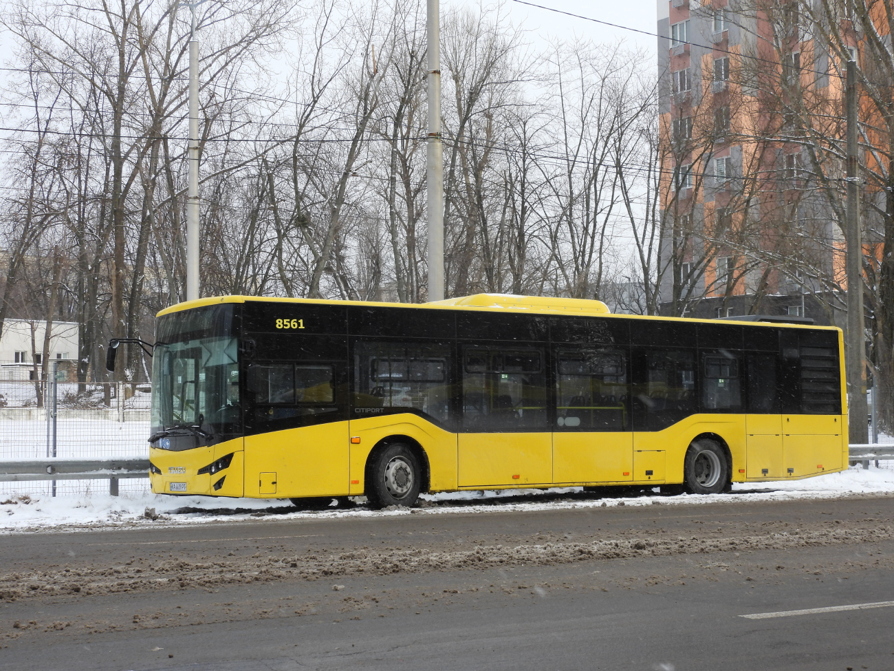 Kyiv, Anadolu Isuzu Citiport 12 # 8561