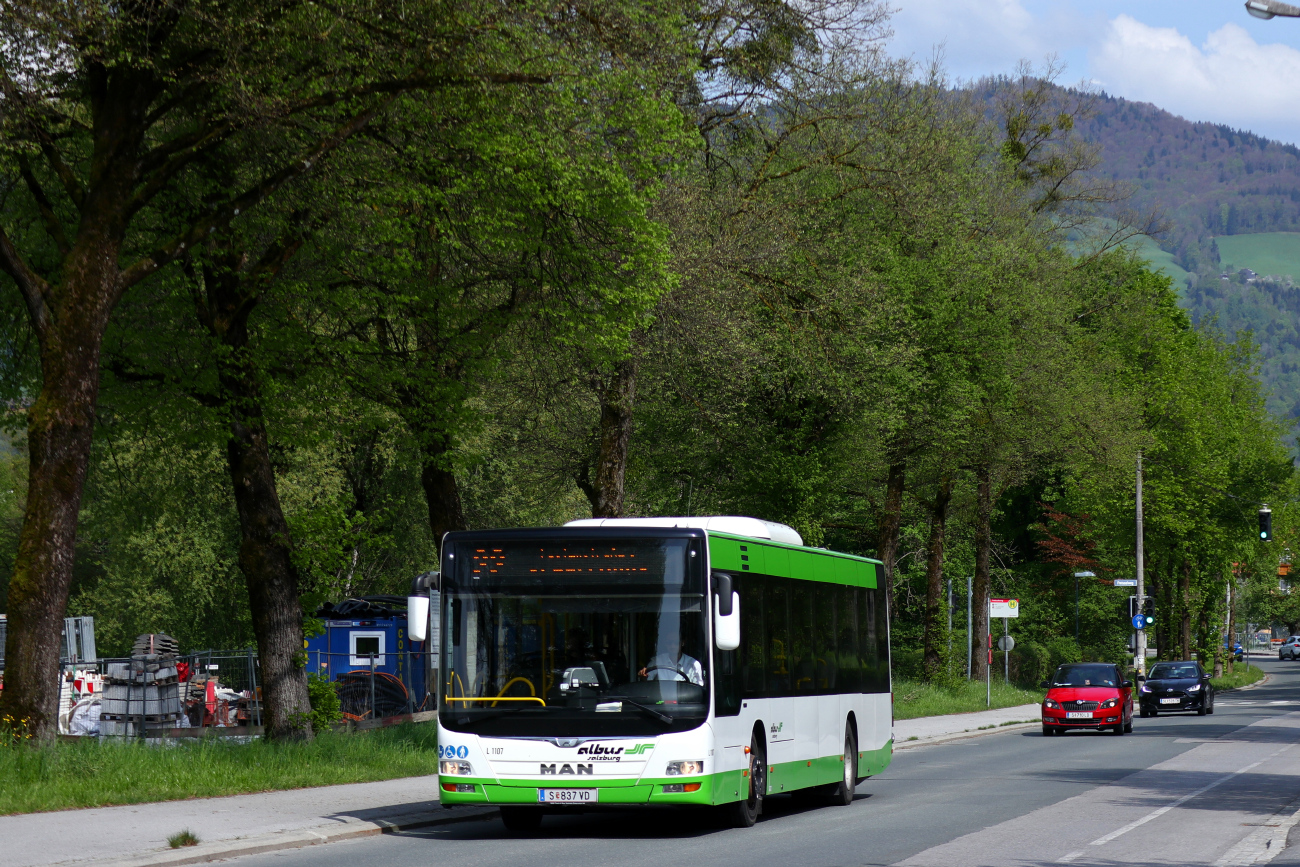 Salzburg, MAN A21 Lion's City NL*** # L1107