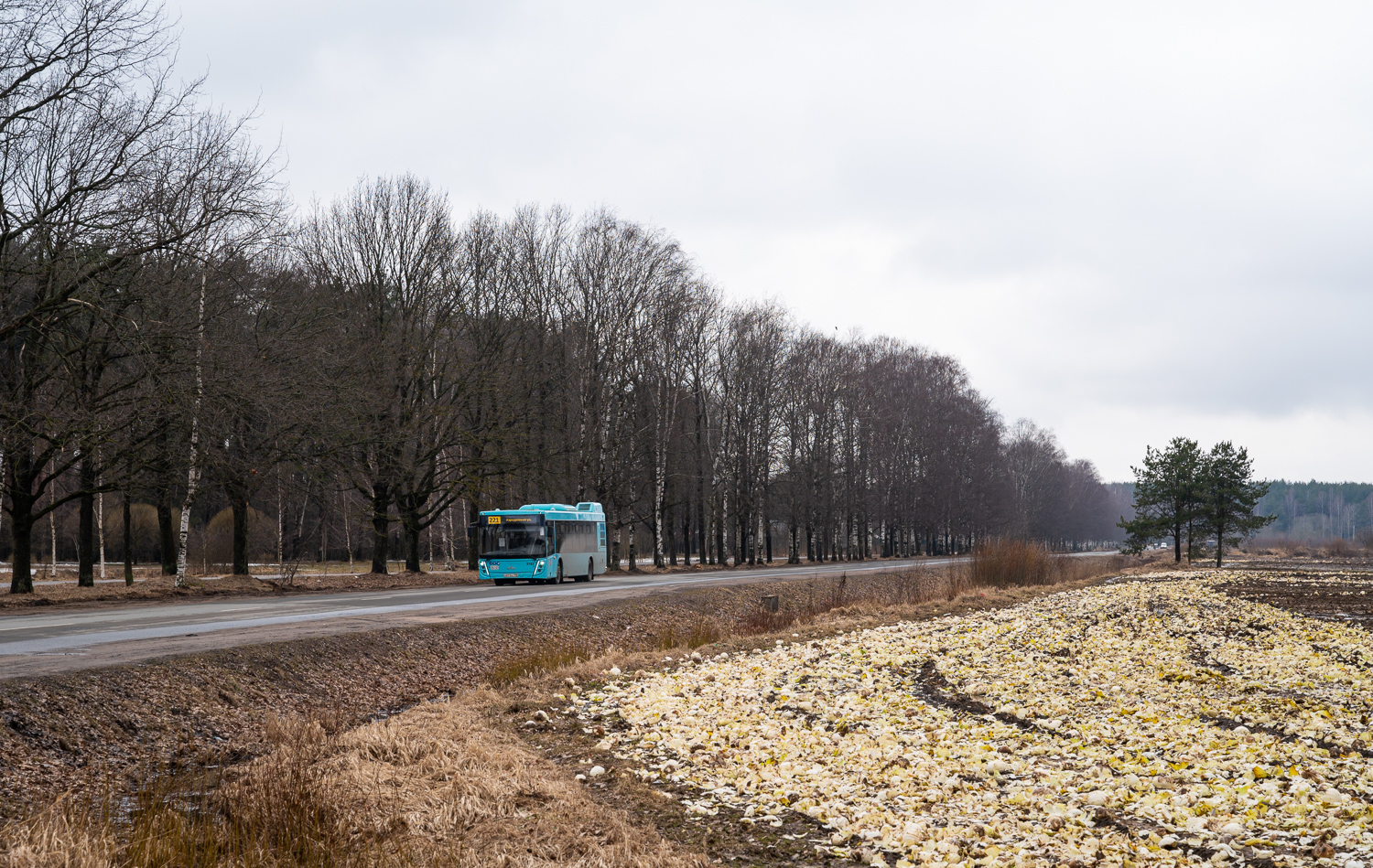 Санкт-Петербург — Разные фотографии