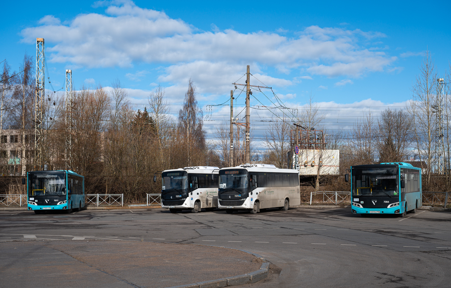 Saint Petersburg, Volgabus-4298.G4 (LNG) # 7077; Sosnovy Bor, KAMAZ-4280-F5 Vega # Т 299 УН 198; Saint Petersburg, Volgabus-4298.G4 (LNG) # 7084