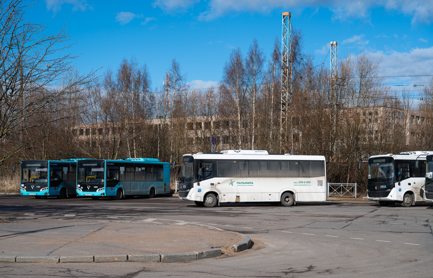 Saint Petersburg, Volgabus-4298.G4 (LNG) # 10294; Sosnovy Bor, KAMAZ-4280-F5 Vega # Т 356 УН 198