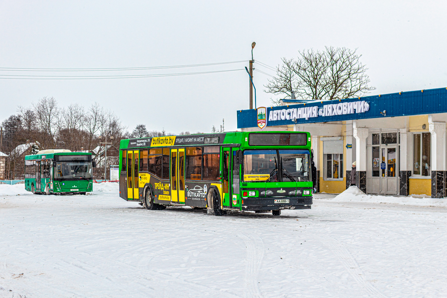 Барановичи, МАЗ-103.065 № 11560