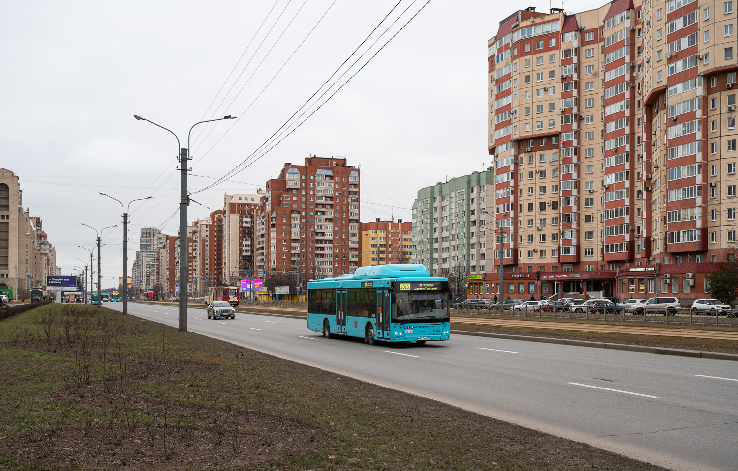 Saint Petersburg, MAZ-203.C46 # 34588