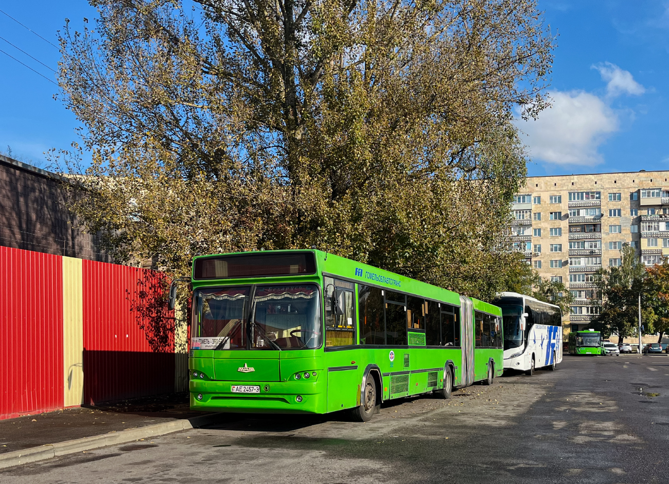 Gomiel, MAZ-105.465 # 036552