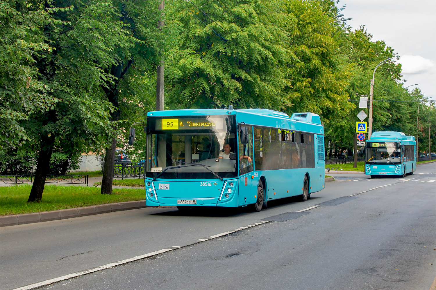 Saint Petersburg, MAZ-203.947 # 38516; Saint Petersburg, MAZ-203.948 # 38214