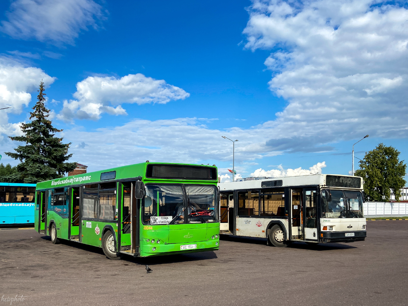 Polack, MAZ-103.465 Nr. 020044