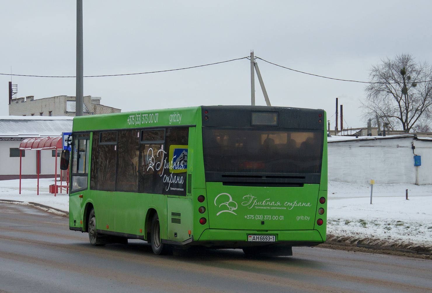 Brest region, MAZ-206.060 # АН 6693-1