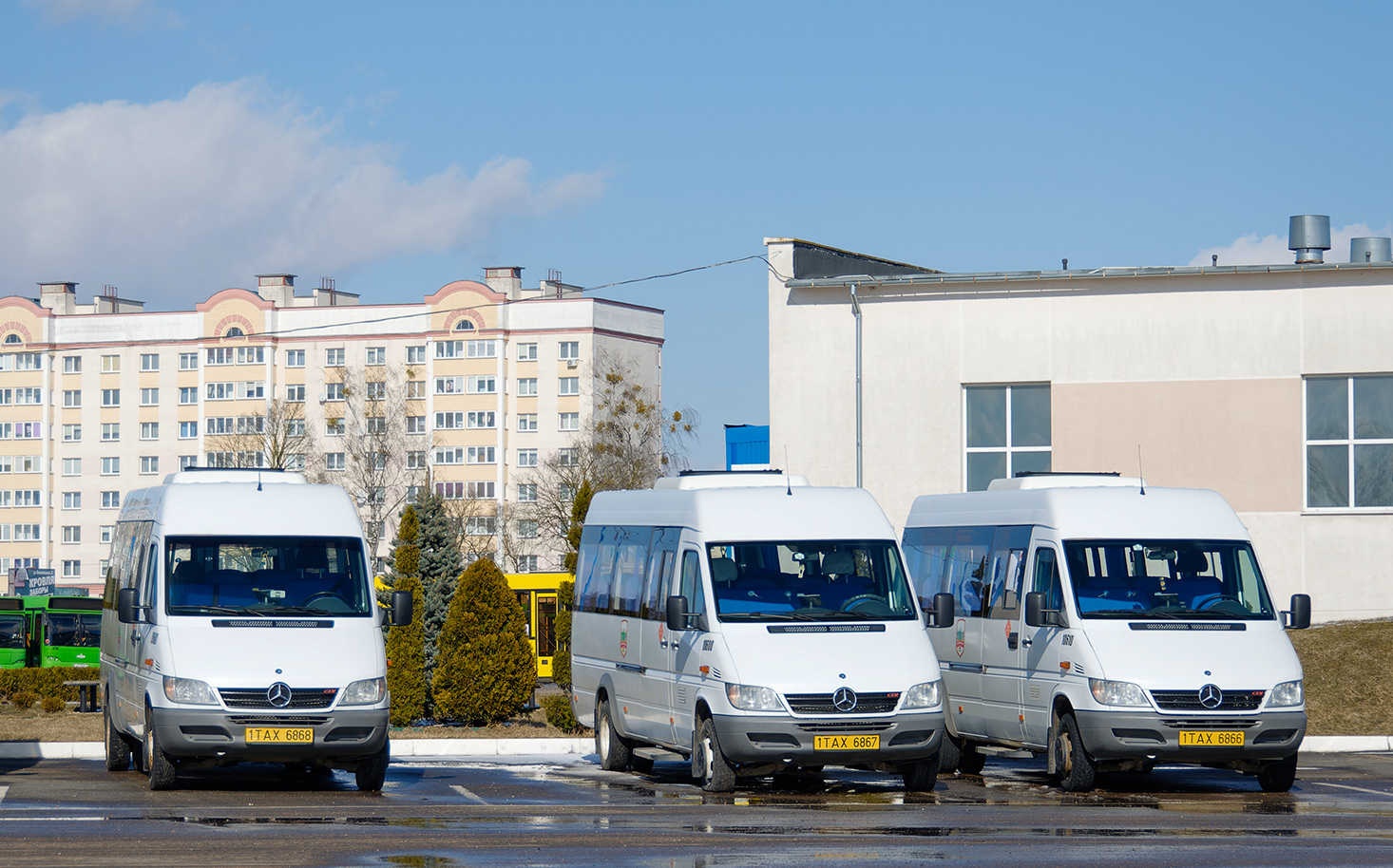 Baranavichy, Luidor-223236 (MB Sprinter Classic) Nr. 10680; Baranavichy, Luidor-223237 (MB Sprinter Classic) Nr. 10600