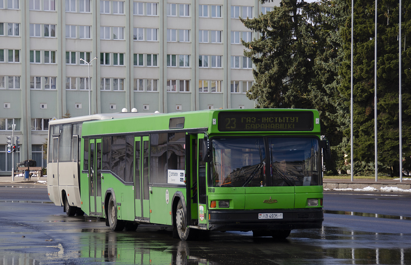 Baranavichy, MAZ-103.065 # 11610