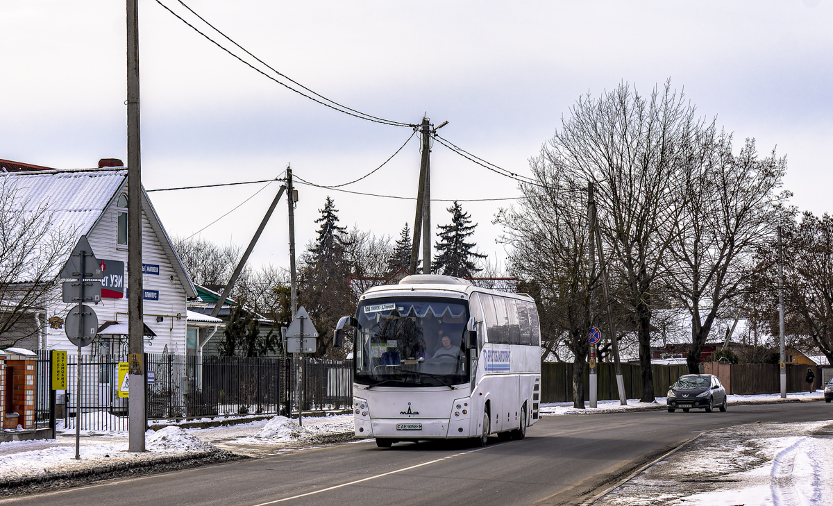 Stolin, MAZ-251.050 # 00519