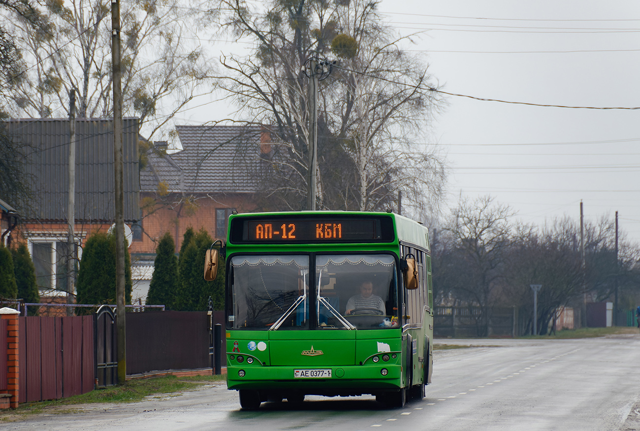 Stolin, MAZ-103.465 # 00506