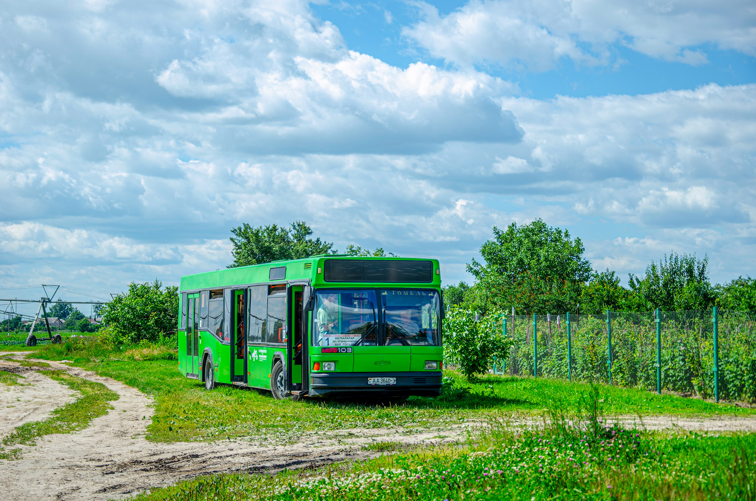 Gomiel, MAZ-103.062 Nr. 11631