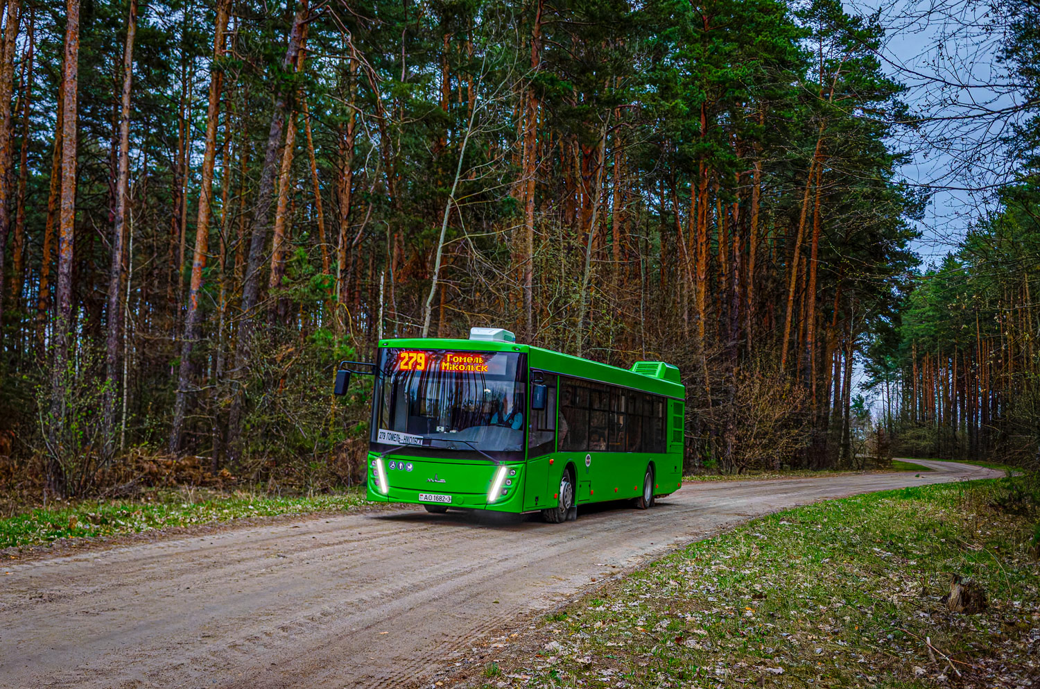 Gomiel, MAZ-203.047 # 016331