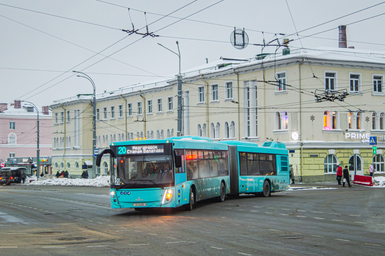 Gomiel, MAZ-216.047 # 13196