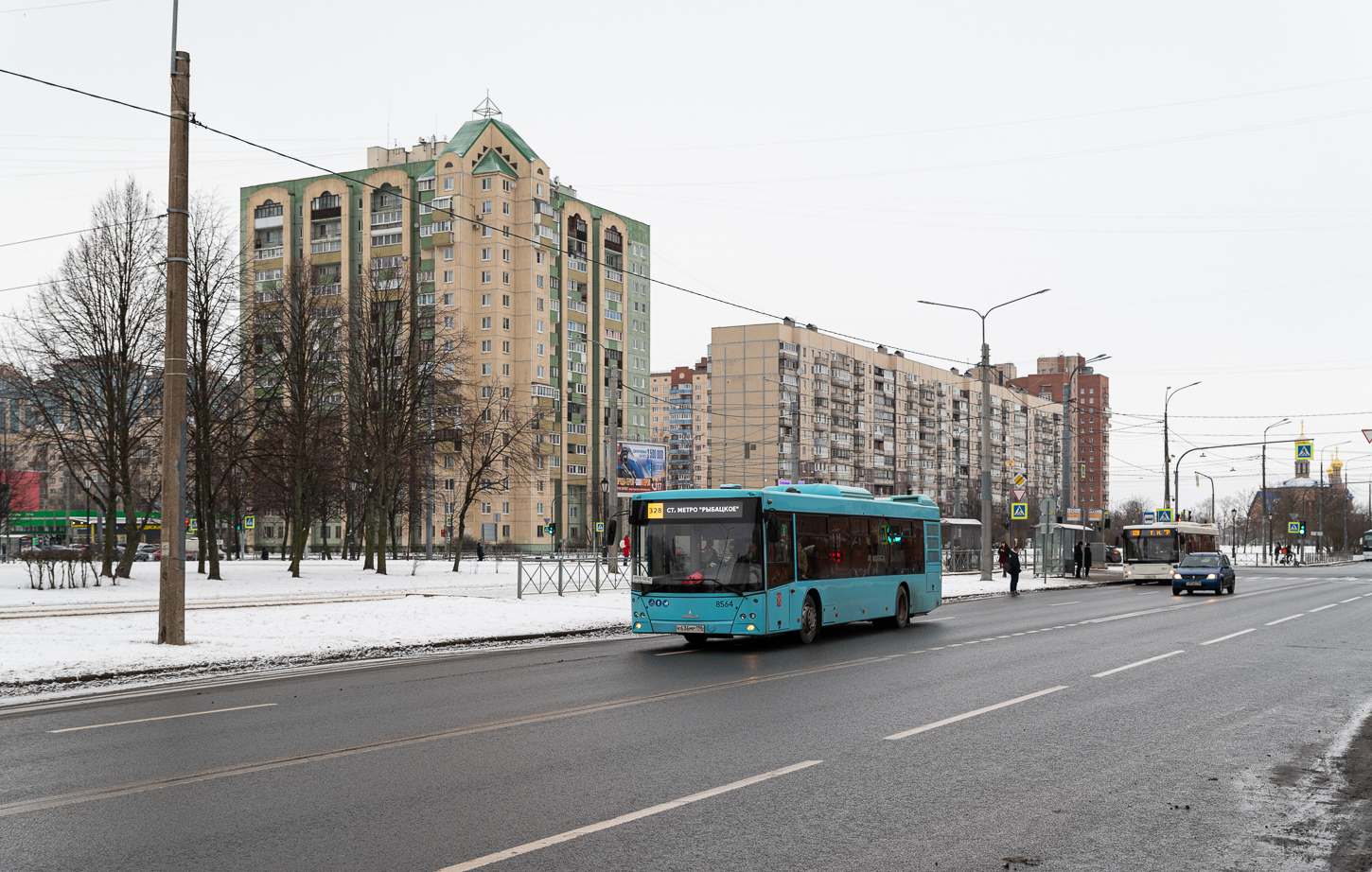Saint Petersburg, MAZ-203.016 # 8564