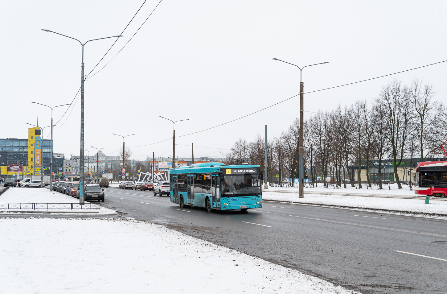 Saint Petersburg, MAZ-203.016 # 8536