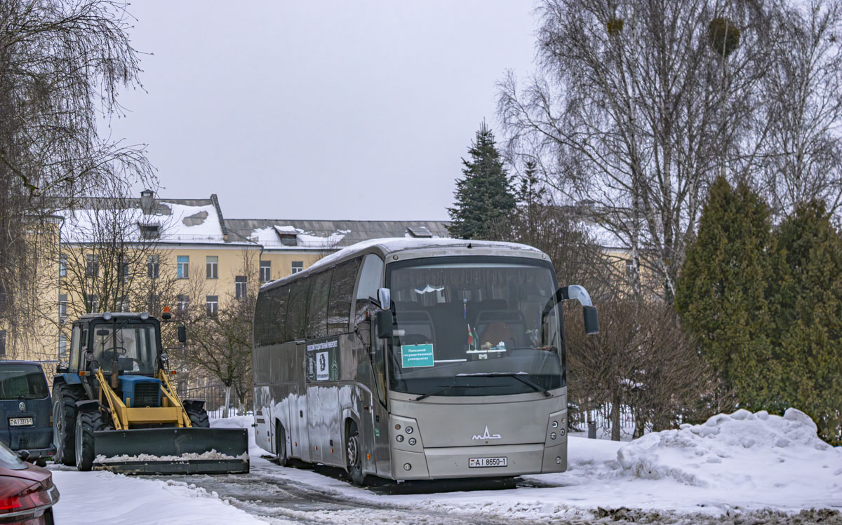 Pinsk, MAZ-251.050 Nr. АІ 8650-1
