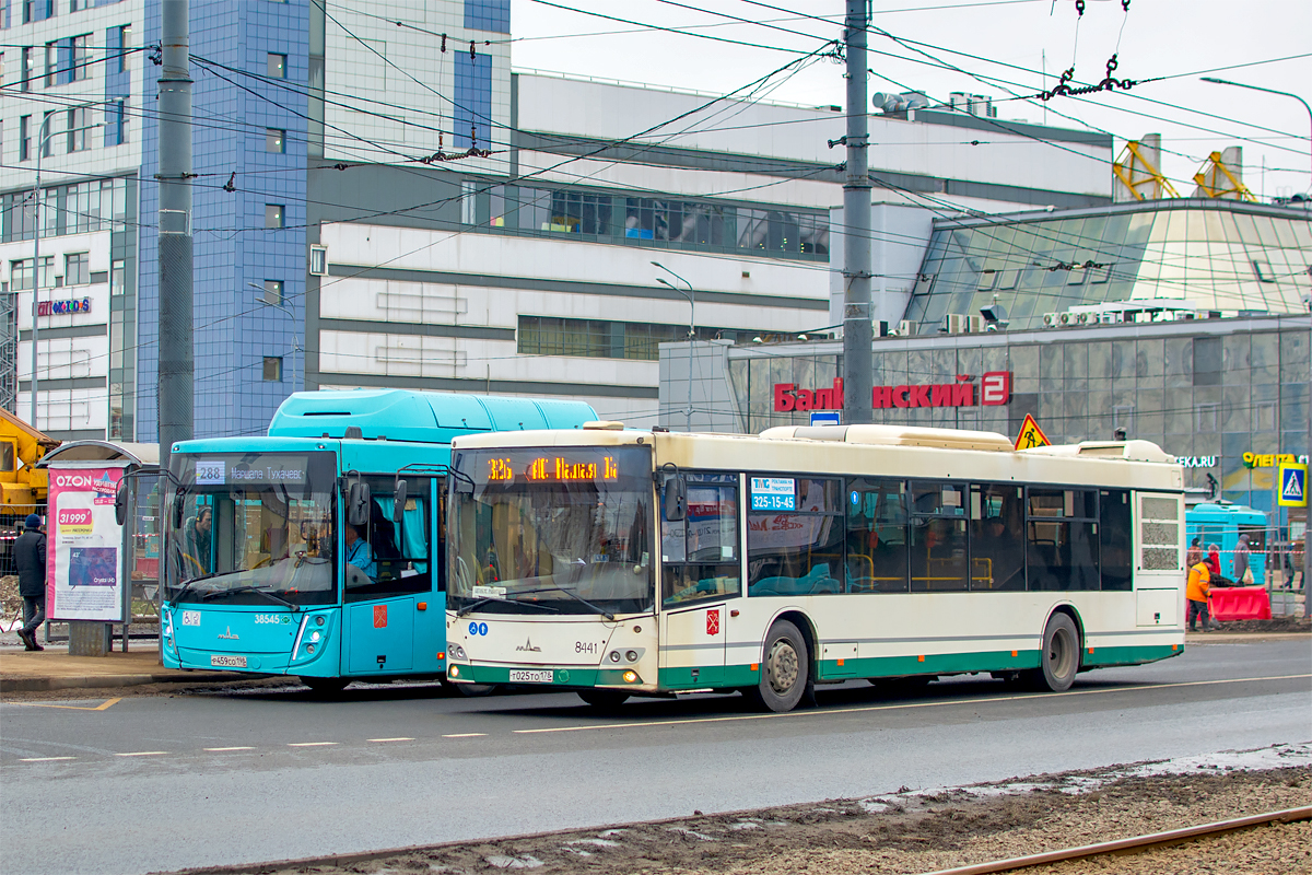 Saint Petersburg, MAZ-203.085 Nr. 8441
