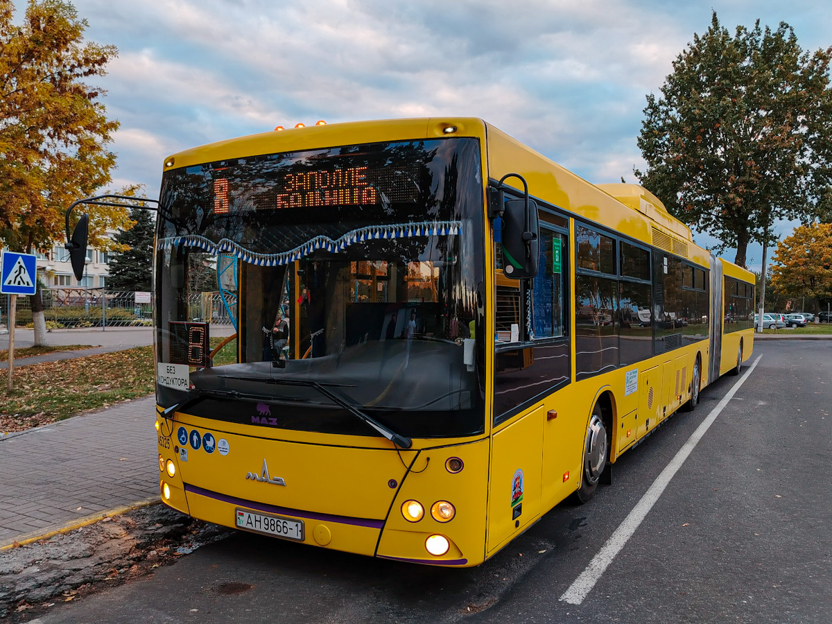 Pinsk, MAZ-215.069 # 45325