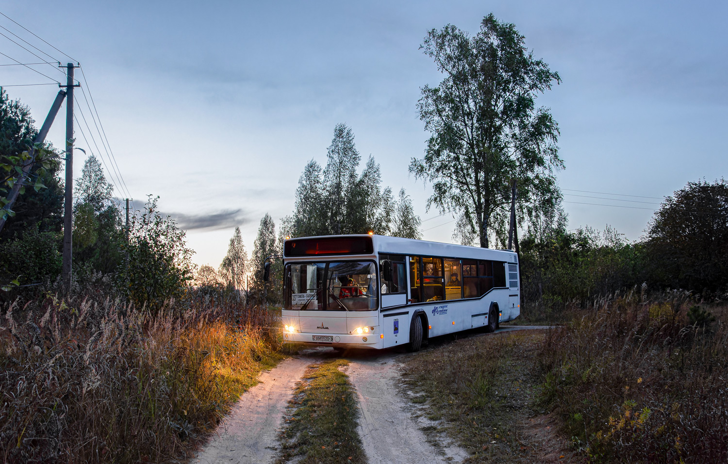 Gomiel, MAZ-103.465 Nr. 12475