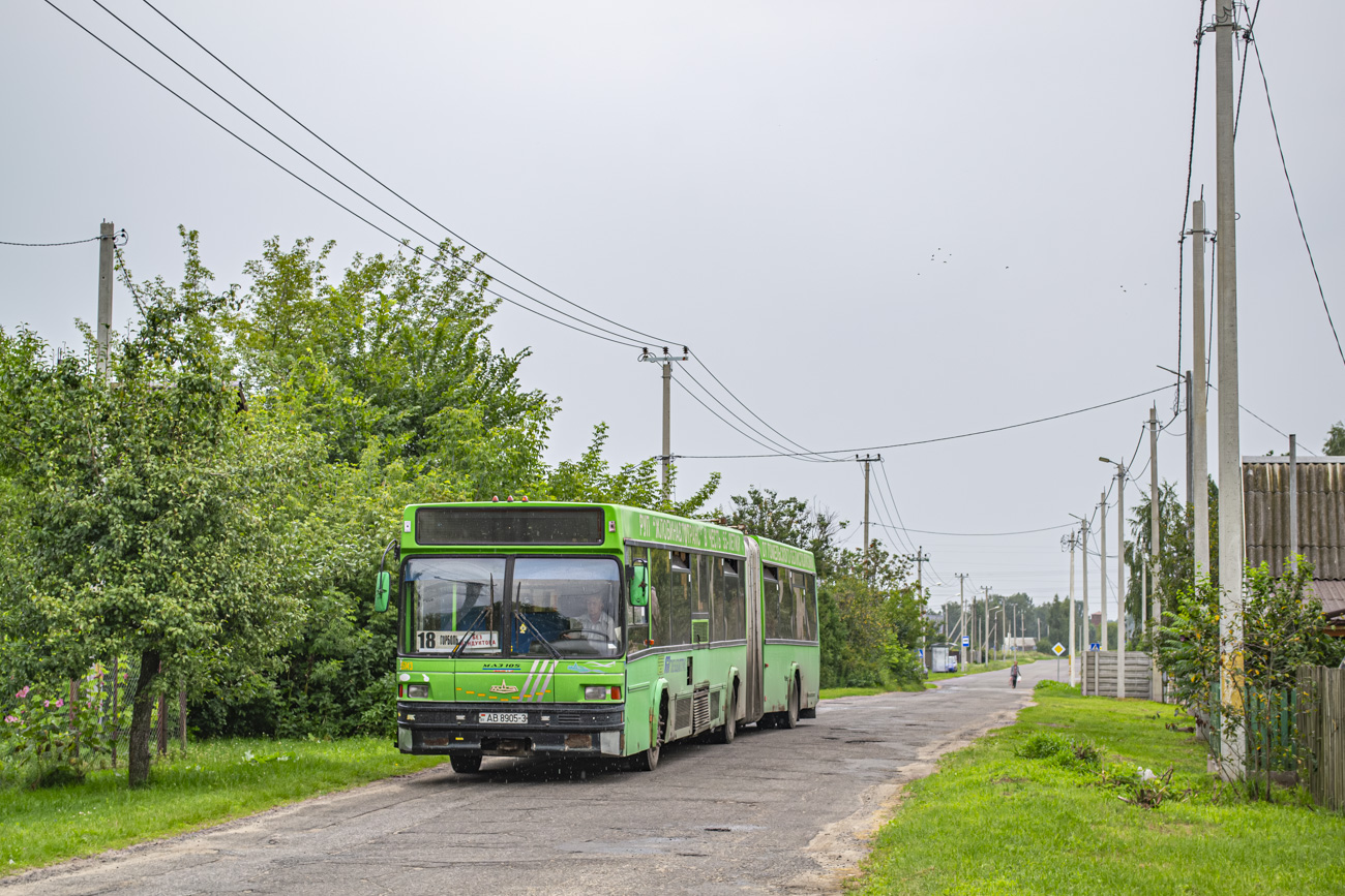 Zhlobin, MAZ-105.065 # 35143