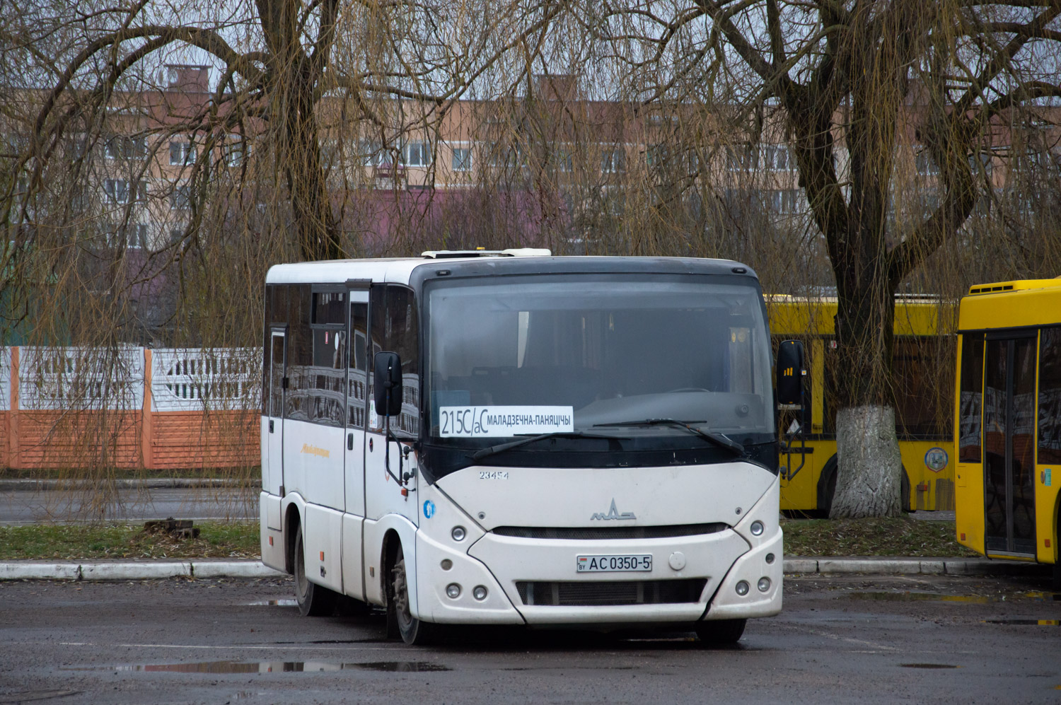 Maladziechna, MAZ-241.030 # 23454