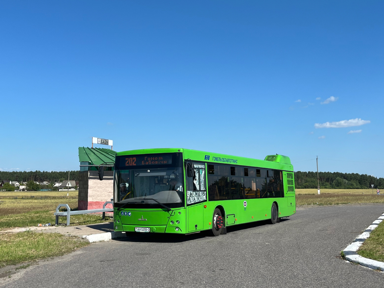 Gomiel, MAZ-203.045 # 037222