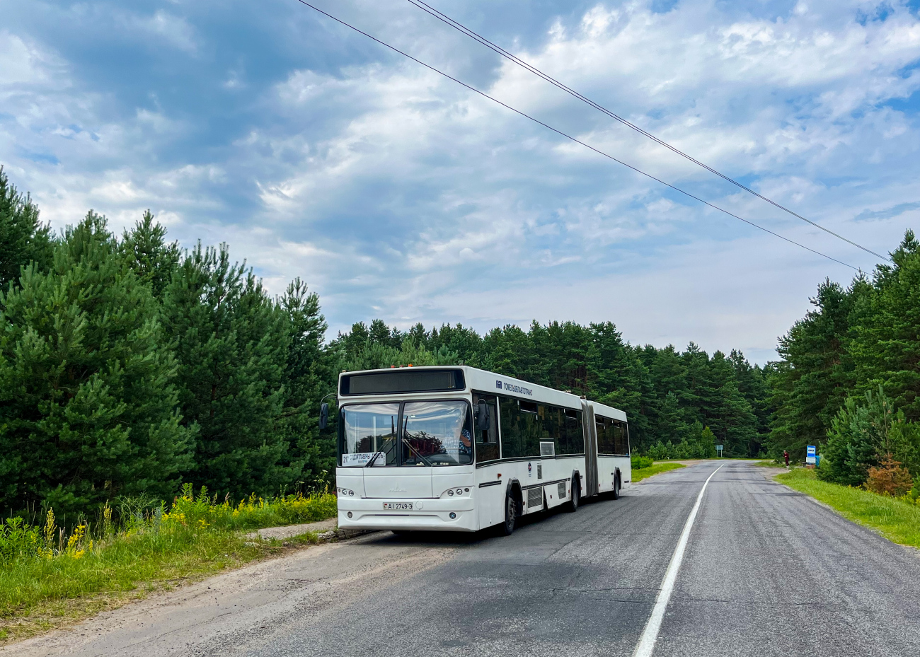 Gomiel, MAZ-105.465 # 036731