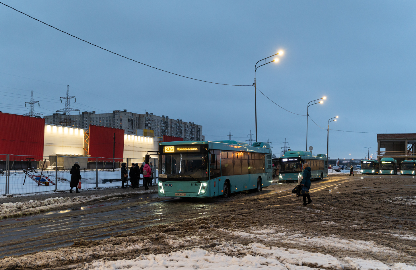 Saint Petersburg, MAZ-203.047 # 8486