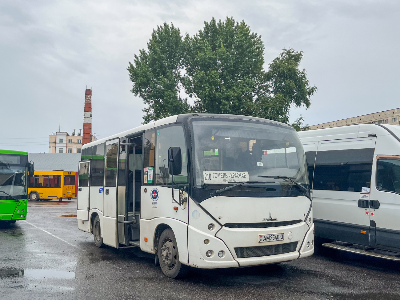Gomiel, MAZ-241.030 # 015891
