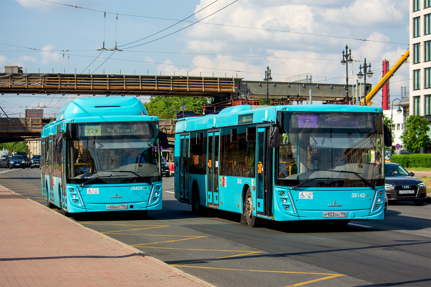 Saint Petersburg, MAZ-203.948 # 38426; Saint Petersburg, MAZ-203.947 # 38142