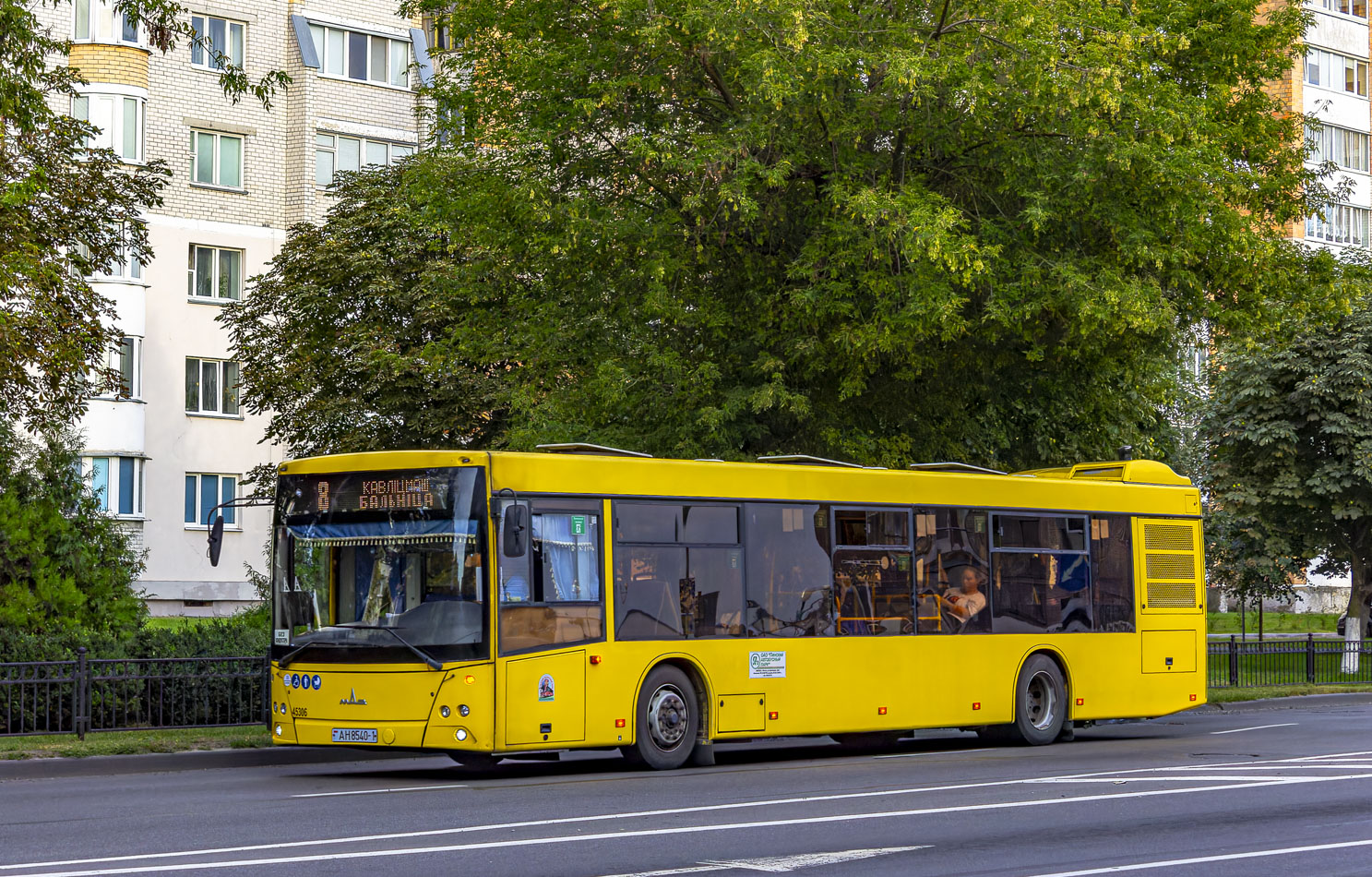 Pinsk, MAZ-203.016 # 45306