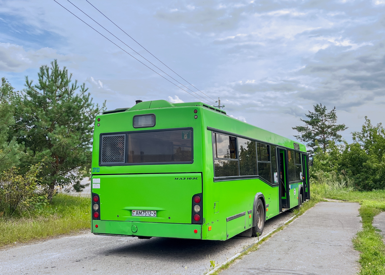 Gomiel, МАЗ-103.586 # 037133