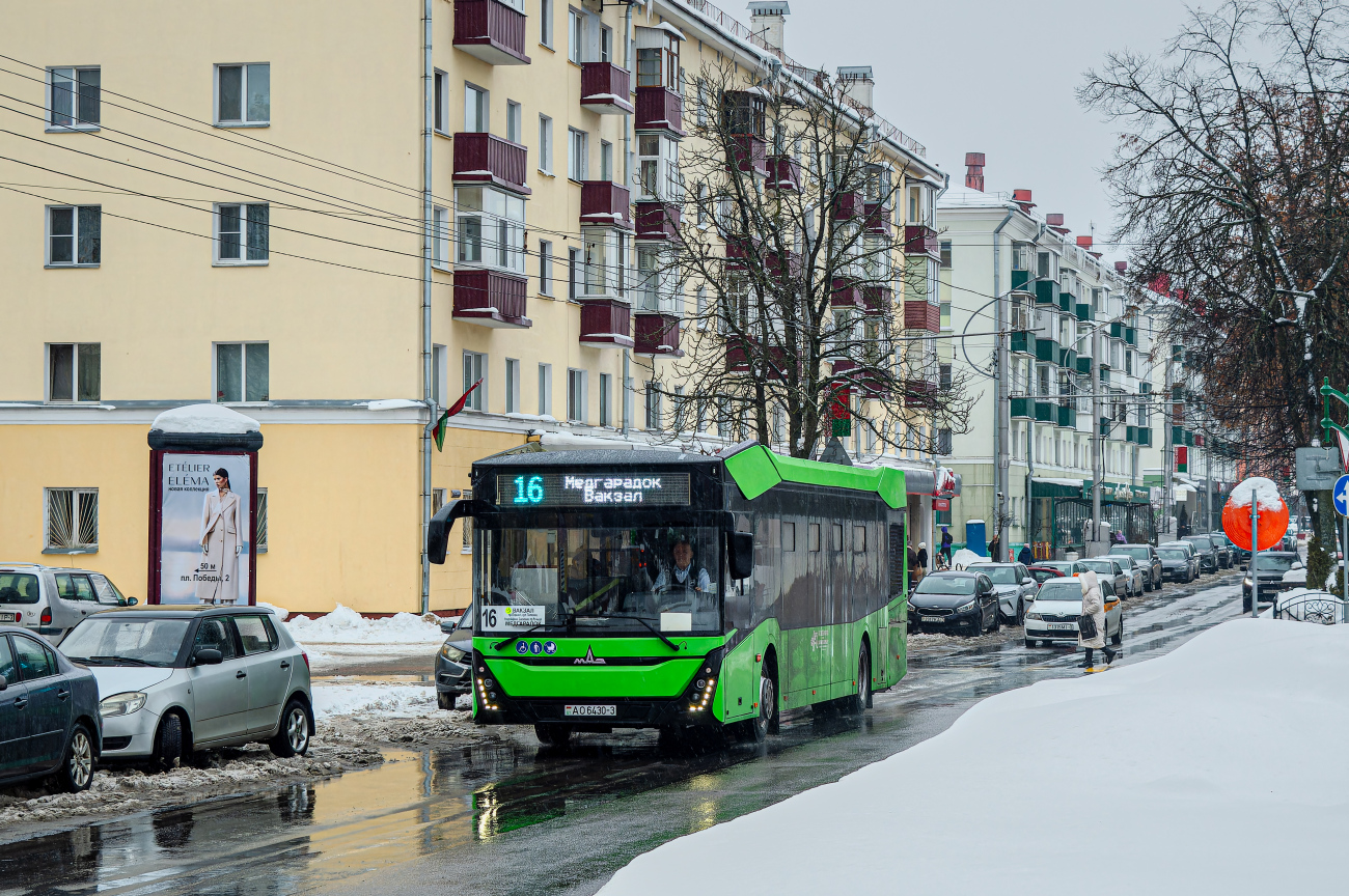 Gomiel, MAZ-303.047 # 26484