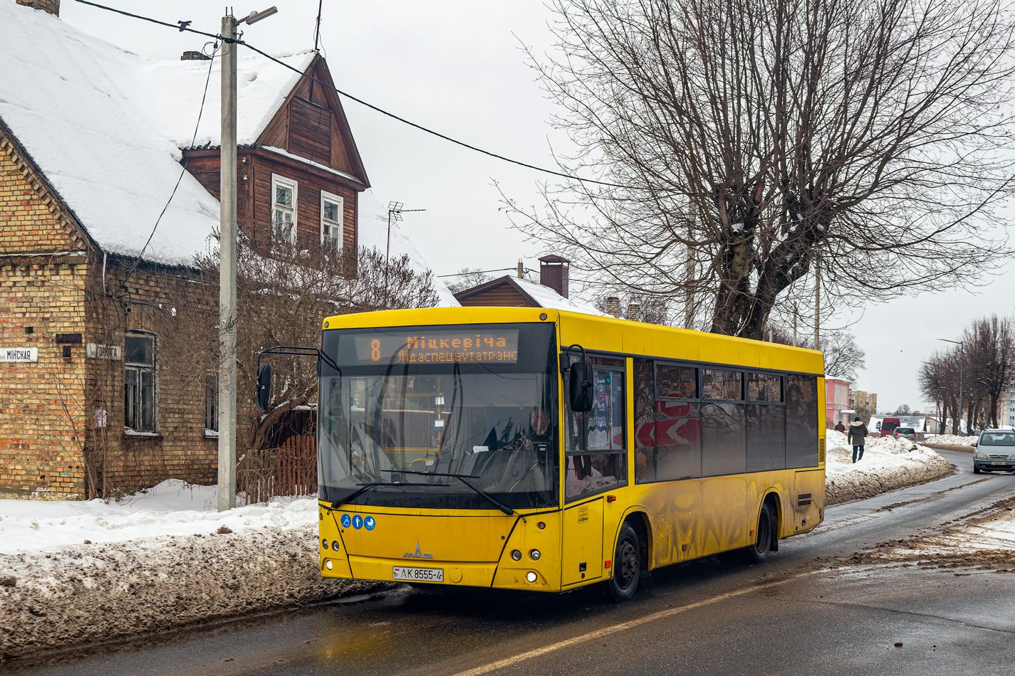 Lida, MAZ-206.063 # 020462