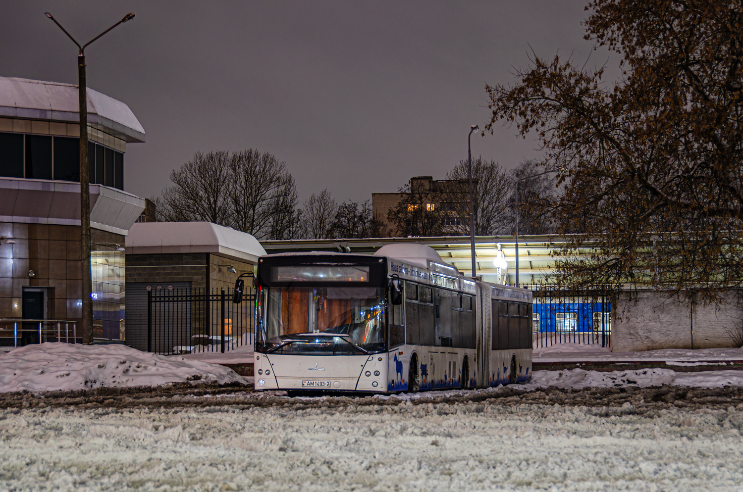 Vitebsk, MAZ-215.069 # АМ 1493-2