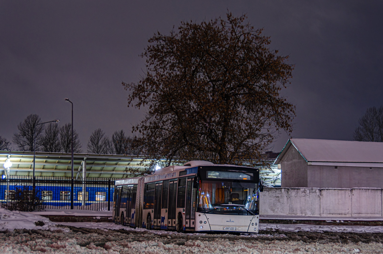 Vitebsk, MAZ-215.069 # АМ 1493-2