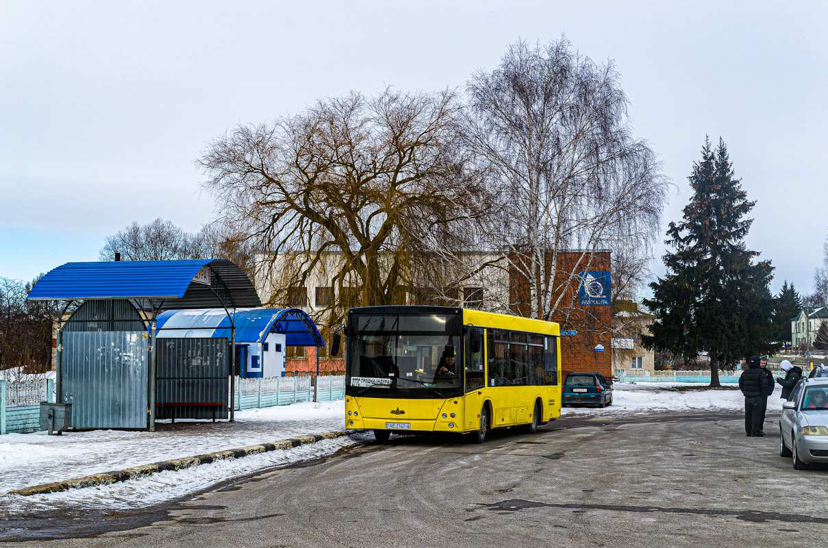 Grodno, MAZ-226.060 # 20125