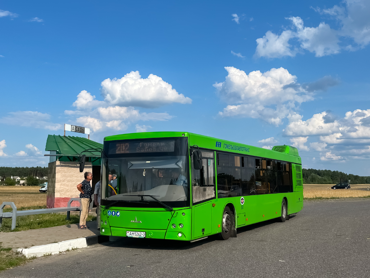 Gomiel, MAZ-203.045 # 037206